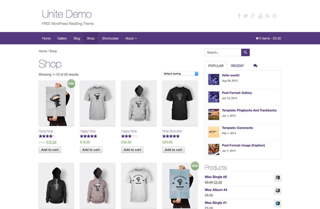 ecommerce wordpress themes